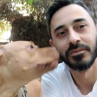 καφέ