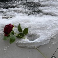 ioanaioana9718