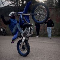 mmattiaa.mx
