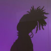 n_bonnie