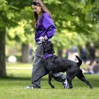 dina.blacklab