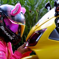 bumblebee_floeppchen