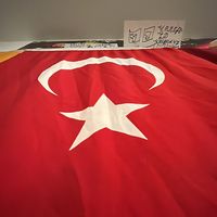 orijinal ses