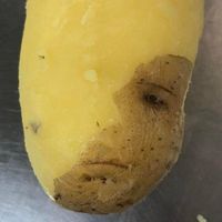bojowniczka