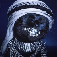 arabcatoff