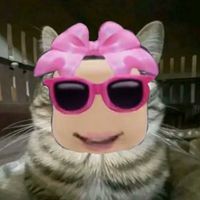 kimberlypatronaroblox
