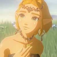 hyrule.princess_