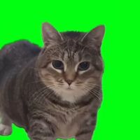 Originalton