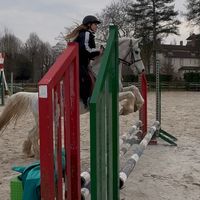 d_77v2