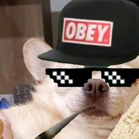 původní zvuk