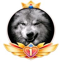 wolftunis2