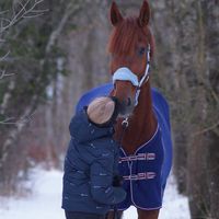 horselover_for_life