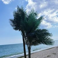username1298052