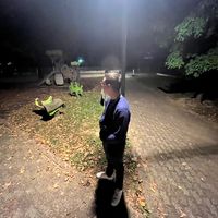 linceofficial_