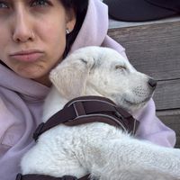 siana0.8
