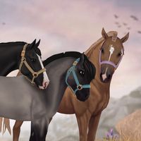 julieandponys