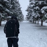 finti808