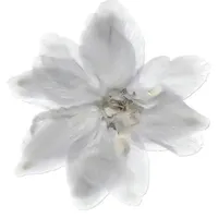 original sound - ulasuchowierska