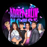 adrenalinhousee.ru