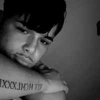 v.allex8