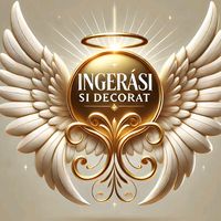 ingerasisidecorat