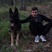 darioratnik