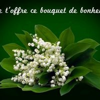 conseil247
