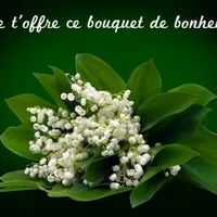 original sound - conseil247