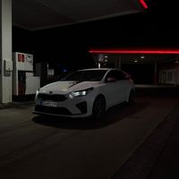 yoleen_1908_