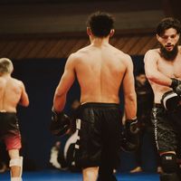 thewukongmma