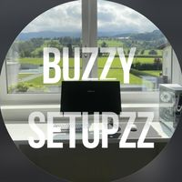 buzzy_setupzz1