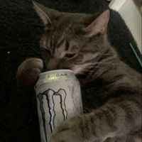 end0rsement