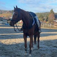 taja.hedzet14