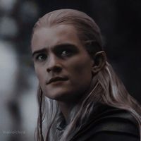 hobbitollie