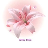 melis_team_lover_