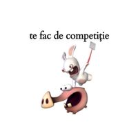arsy_sefu_roacher15