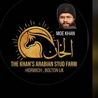 thekhansarabianstudfarm