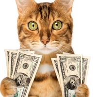 πρωτότυπος ήχος