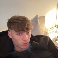 stefanino26_
