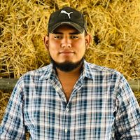 josedavidreflexiones