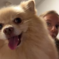 unicornlover90