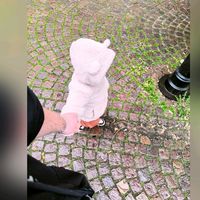 xsolez_369