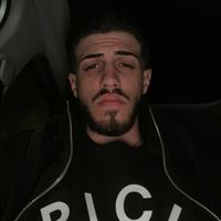 domenicoaltieri3