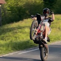 wheeliefico300