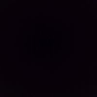 marcelmutonjitshinyoka