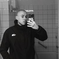 noel_zxd