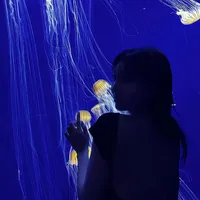 original sound - cl0vvedti