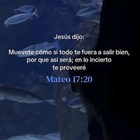 doloressantiago513