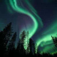 moonshineaurora