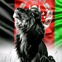 afg.cricket.0